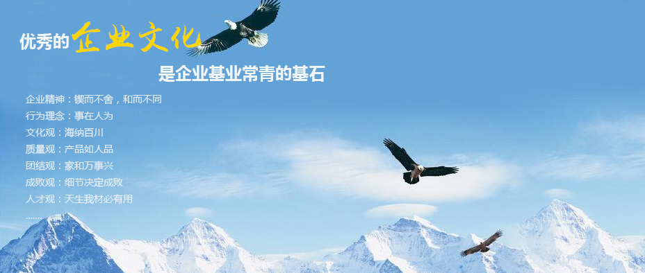 巨宏化工企业文化