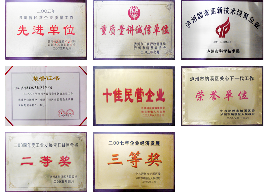 巨宏化工资质荣誉